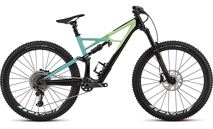 Specialized best sale enduro chameleon