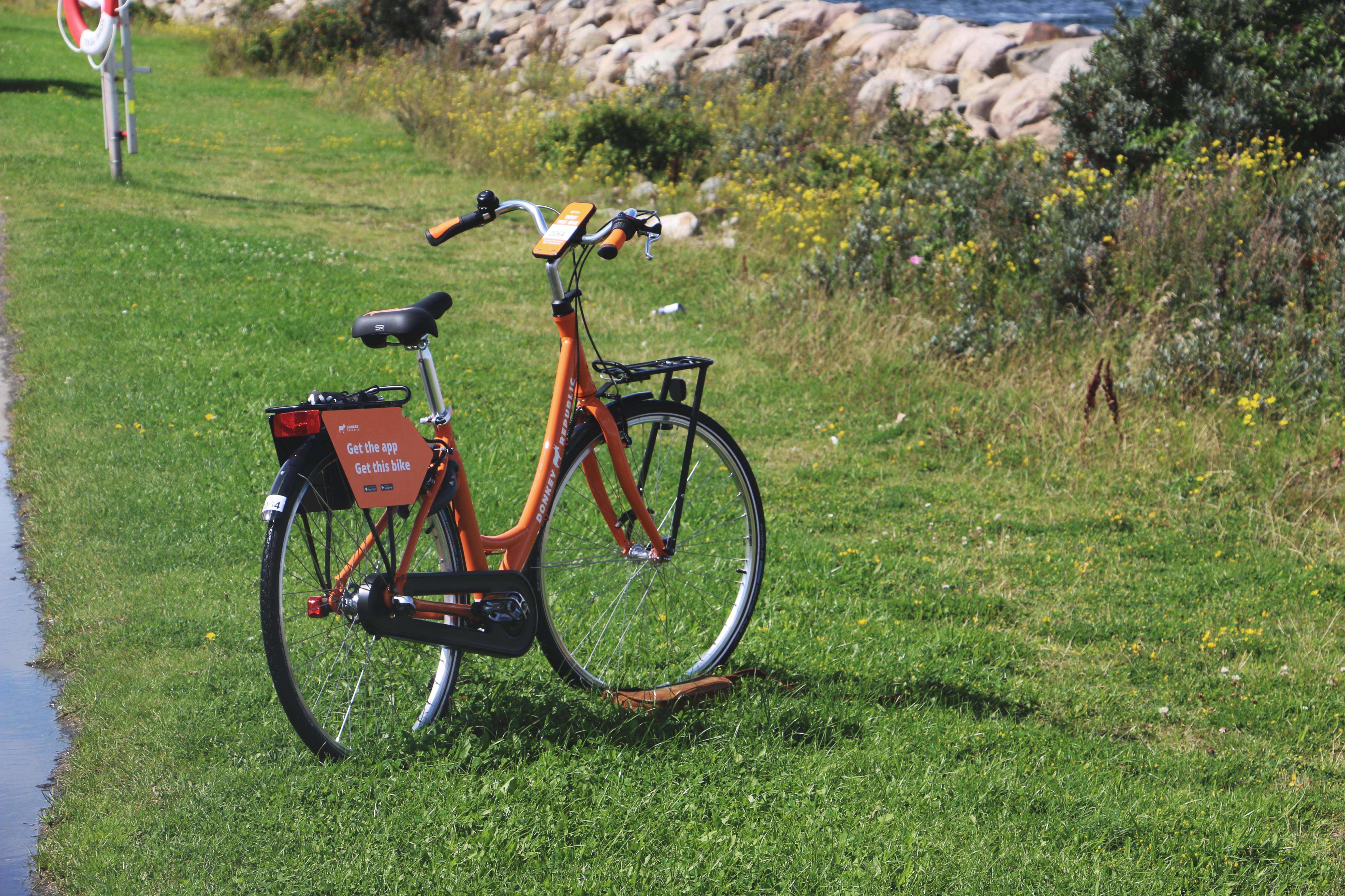 trail donkey bike