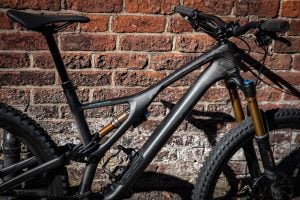 S works stumpjumper clearance 2019