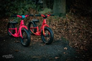 hotwalk balance bike