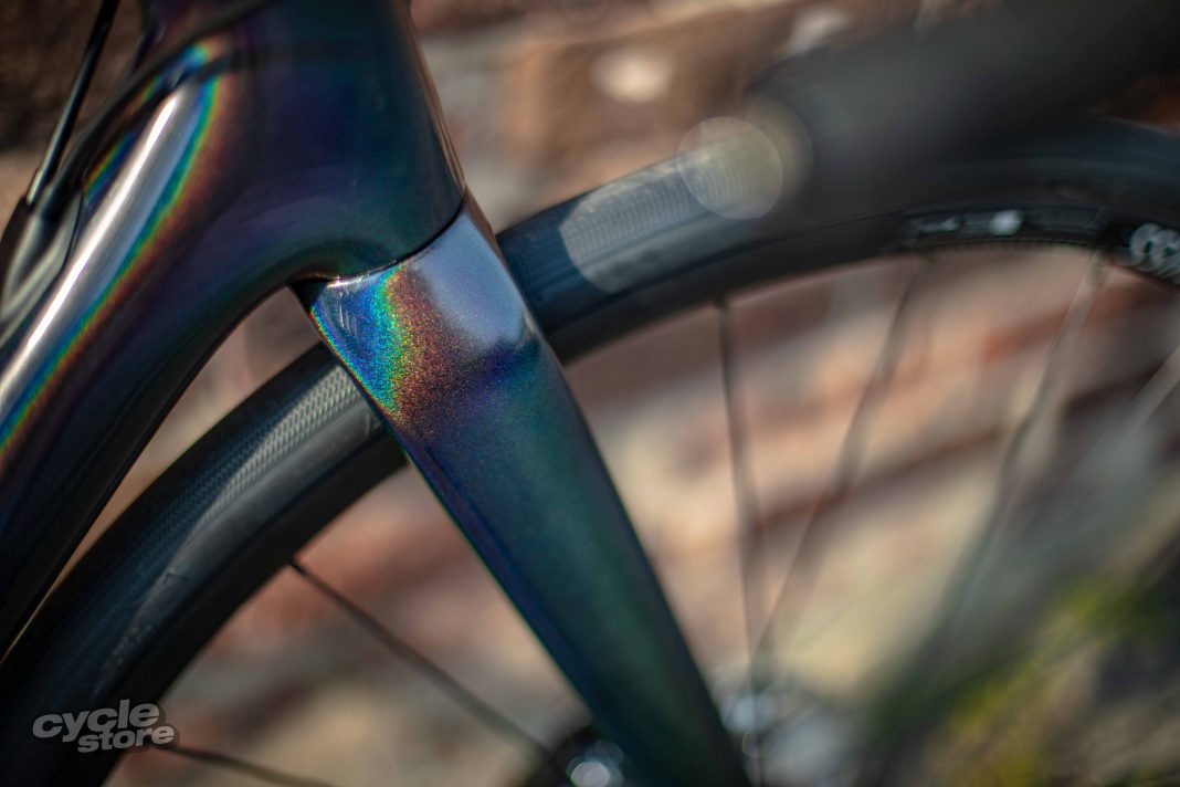 specialized roubaix sagan 2019