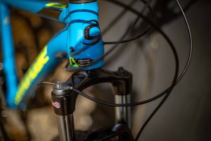 Heerlijk slang Geestelijk Cannondale Trail 6 Mountain Bike Review | Cyclestore Blog