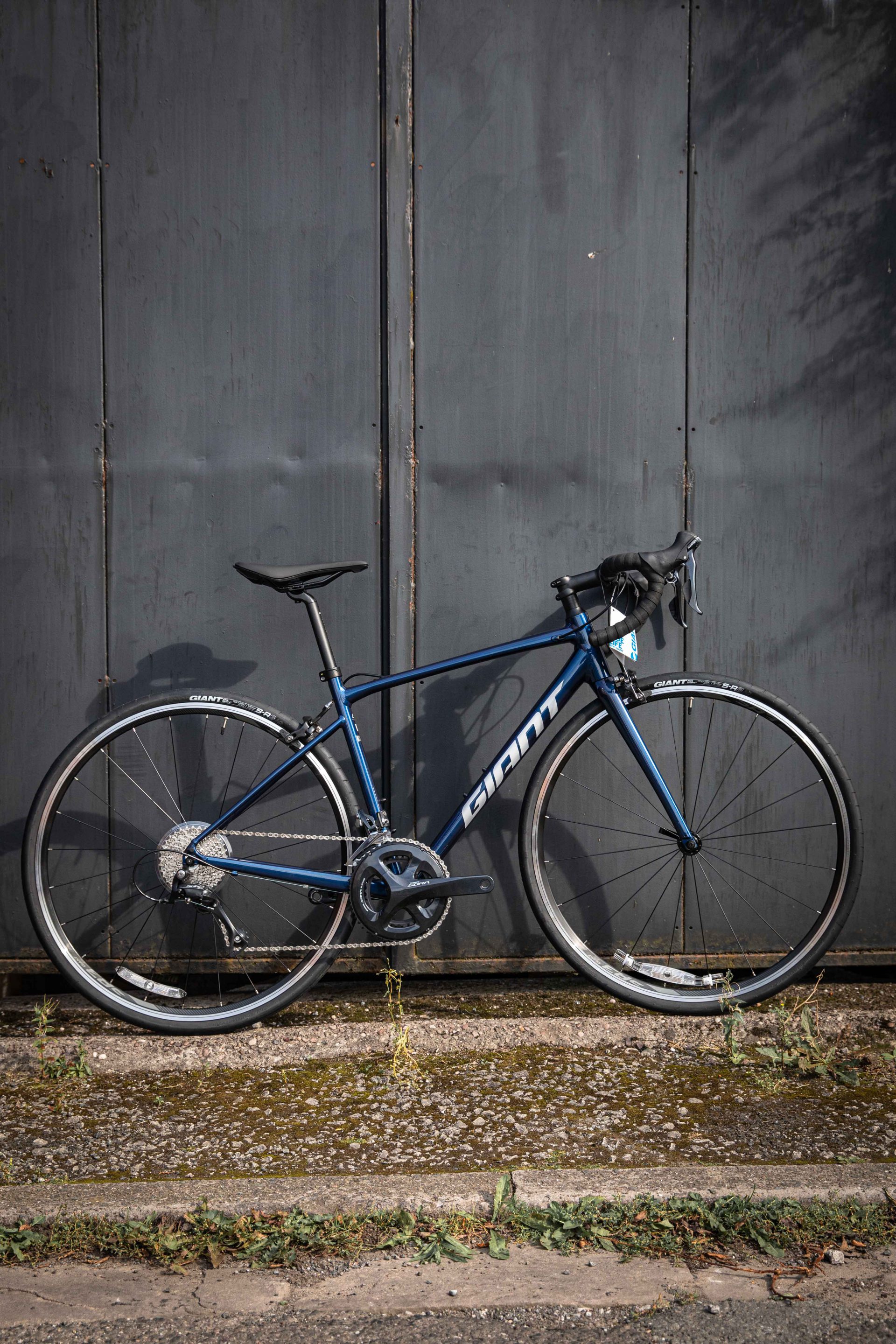 Giant contend 1 2021 discount
