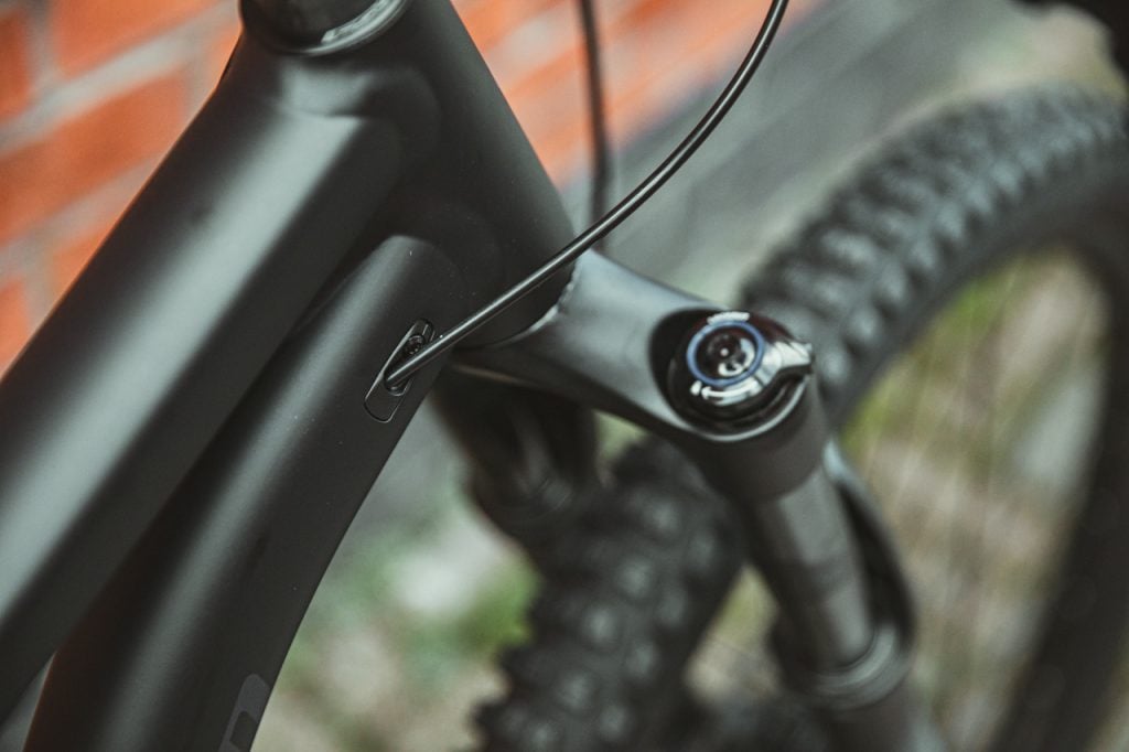 Stumpjumper alloy 2021 discount review